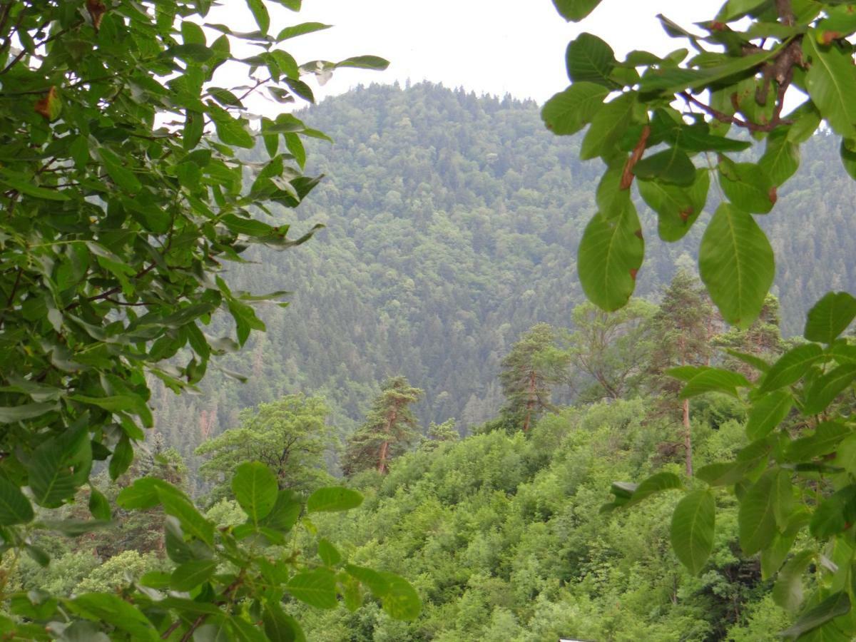 Dalko Otel Borjomi Dış mekan fotoğraf