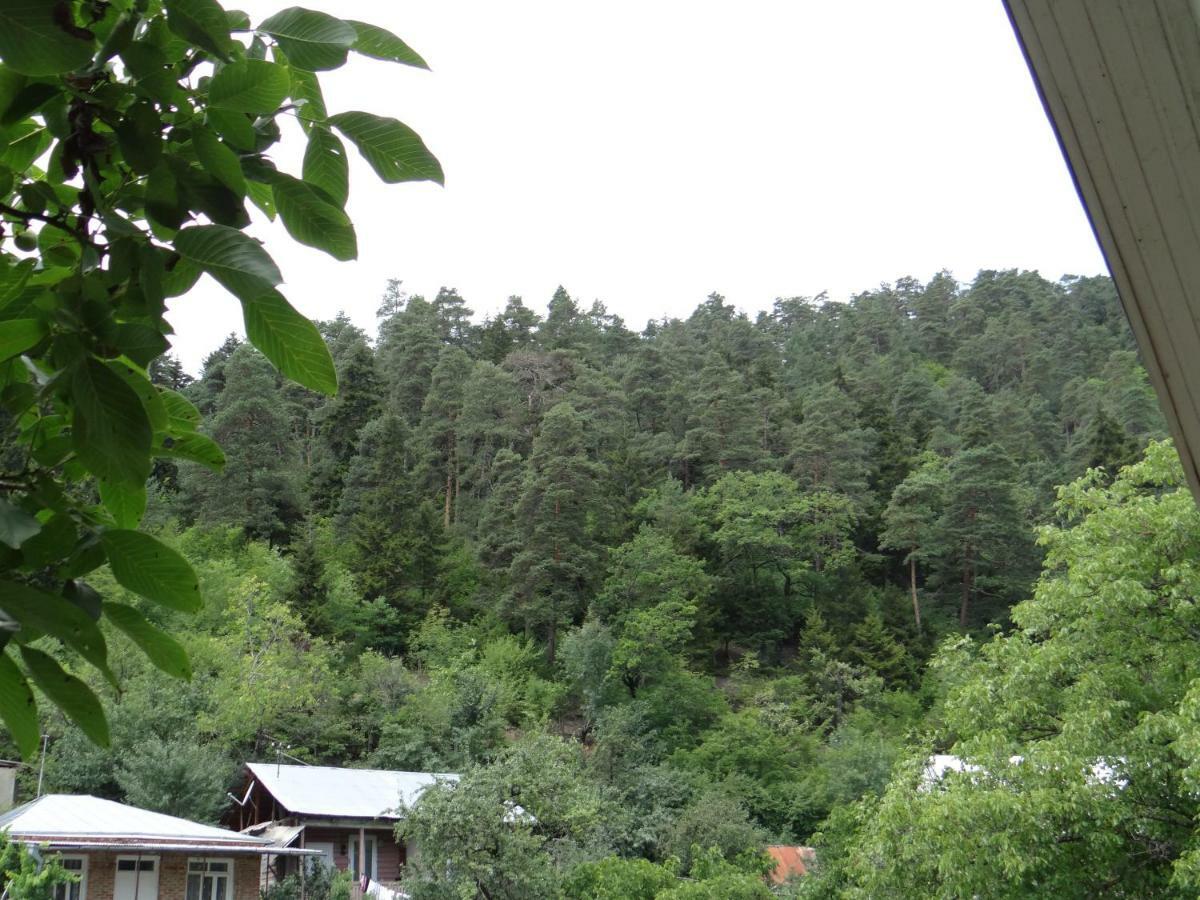 Dalko Otel Borjomi Dış mekan fotoğraf