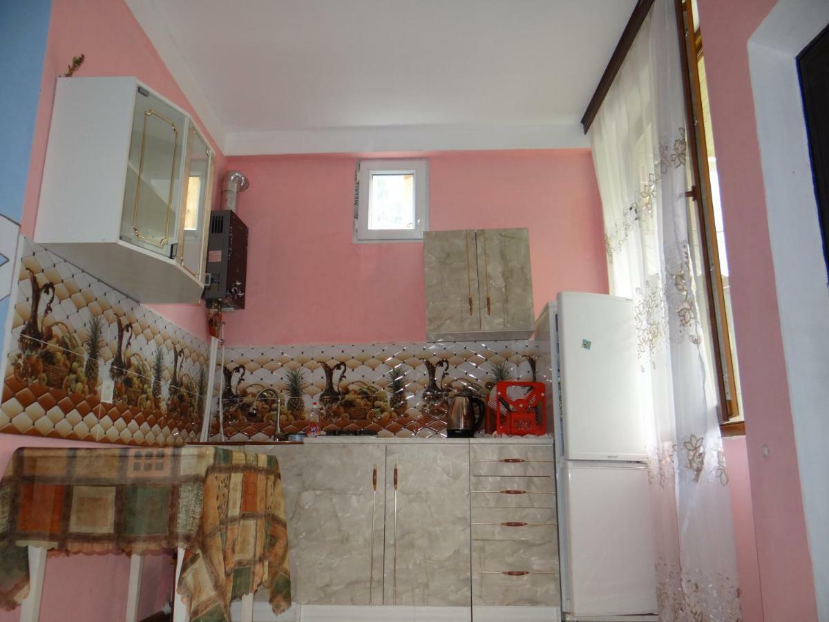 Dalko Otel Borjomi Dış mekan fotoğraf