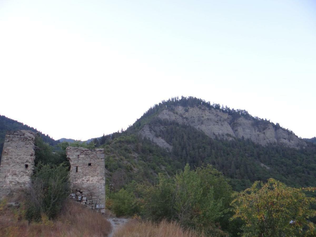 Dalko Otel Borjomi Dış mekan fotoğraf